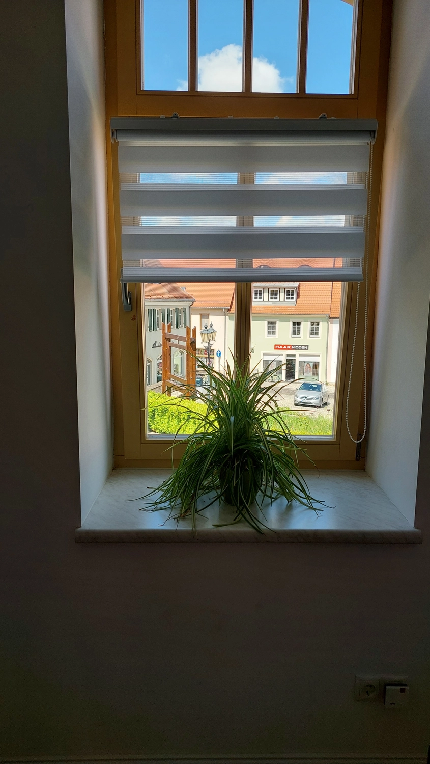 Brigitte Gelleschus - Ferienwohnungen - Zimmer